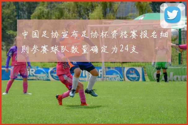 中国足协宣布足协杯资格赛报名细则参赛球队数量确定为24支