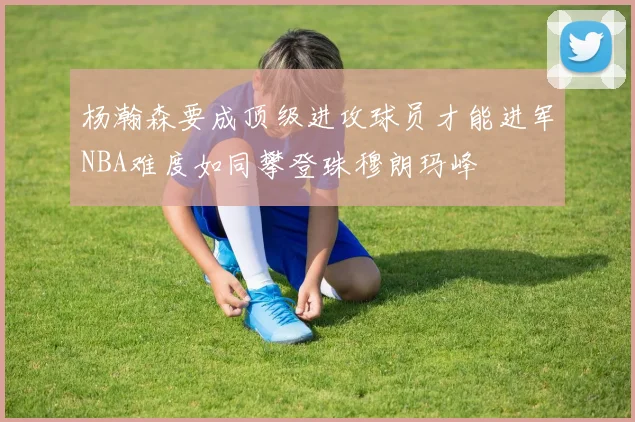 杨瀚森要成顶级进攻球员才能进军NBA难度如同攀登珠穆朗玛峰