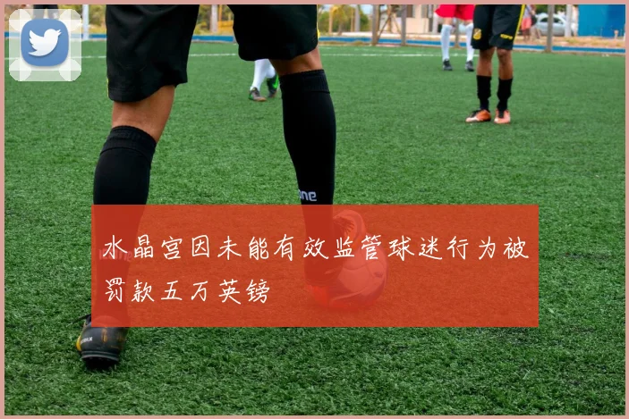 水晶宫因未能有效监管球迷行为被罚款五万英镑