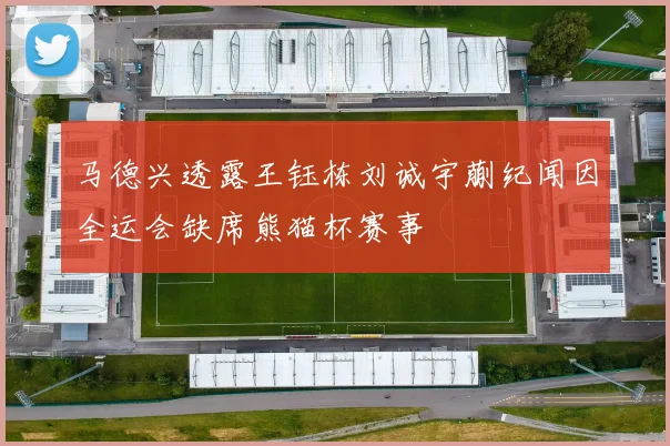 马德兴透露王钰栋刘诚宇蒯纪闻因全运会缺席熊猫杯赛事