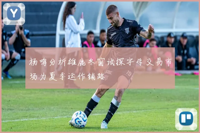 杨鸣分析雄鹿冬窗试探字母交易市场为夏季运作铺路